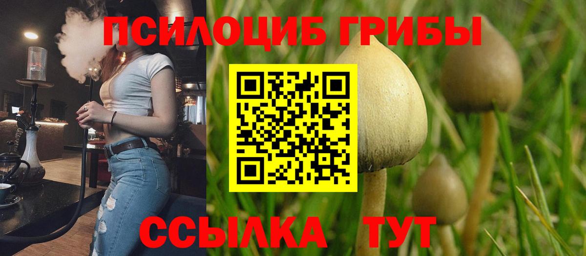 Кемерово  Галлюциногенные грибы MAGIC MUSHROOMS  Вход с VPN 
